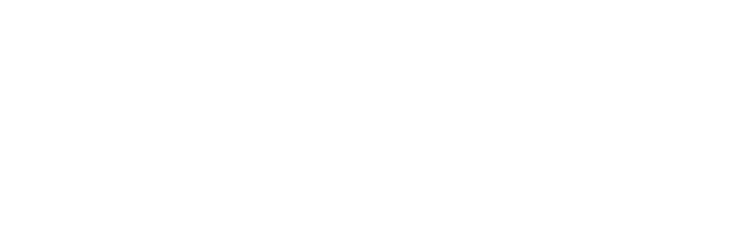 Plaston — intelligent plastic solutions
